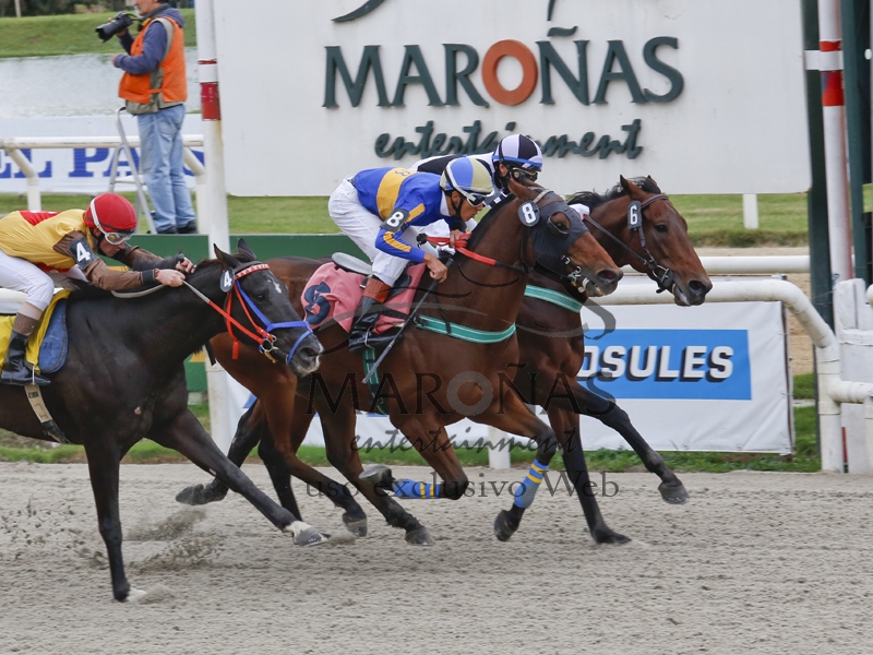 Hipódromo Nacional de Maroñas - Domingo 14 de Mayo de 2015