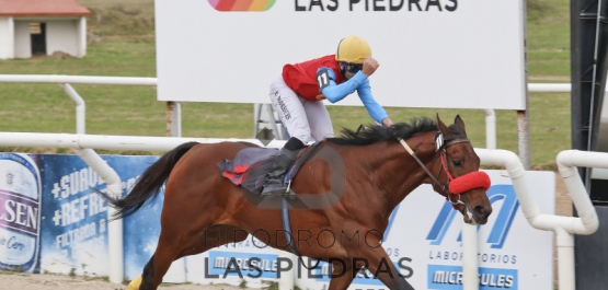 Hipódromo Las Piedras - Sábado 30 de Mayo de 2015