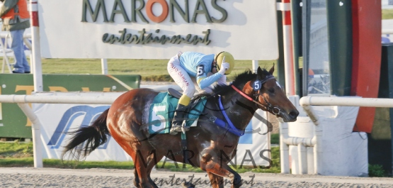 Hipódromo Nacional de Maroñas - Domingo 31 de Mayo de 2015