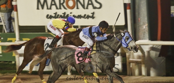 Handicap Especial Benjamín Gómez - Hipódromo Nacional de Maroñas