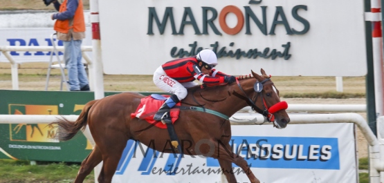 Domingo 19 de Julio de 2015 - Hipódromo Nacional de Maroñas